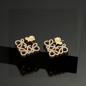 Elegant Gold and Silver Loop Earrings
